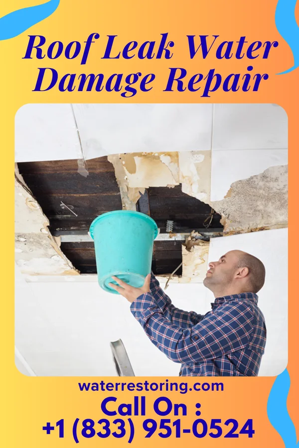 Roof Leak Water Damage Repair in Jackson, MN