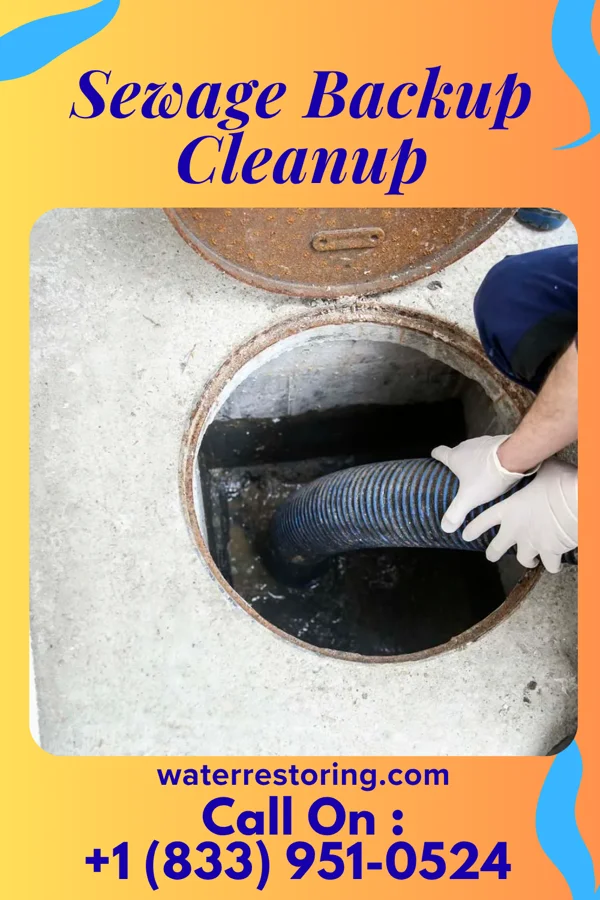 Sewage Backup Cleanup in Jackson, MN